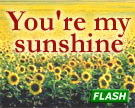 You're my sunshine