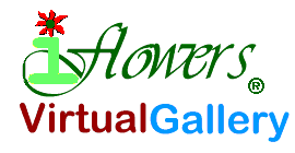iFlowers Virtual Flowers Gallery